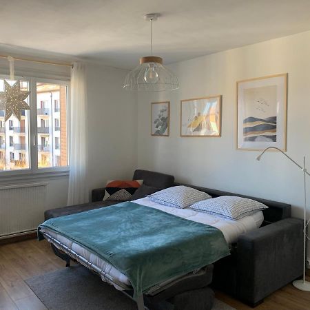 Appartement Cosy Proche Du Centre Анси Екстериор снимка