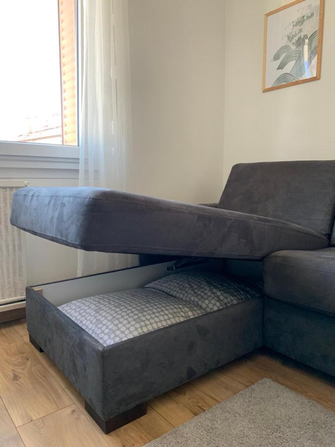 Appartement Cosy Proche Du Centre Анси Екстериор снимка